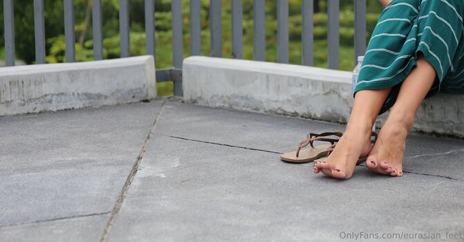 eurasian_feet