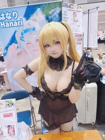 hanariv3v