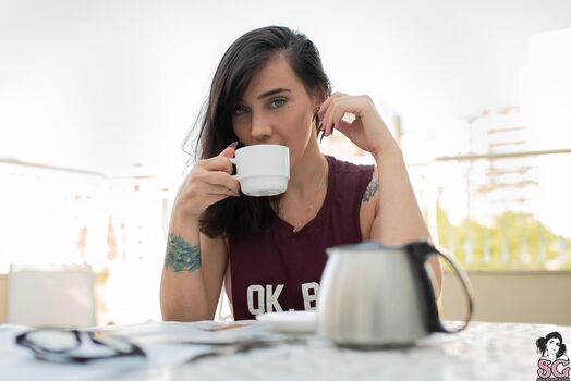 Haub Suicide