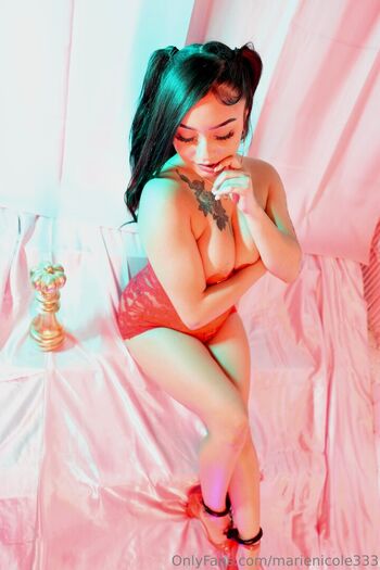 marienicole333