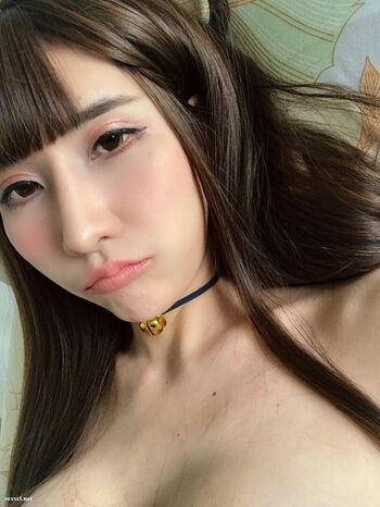 mira04568197