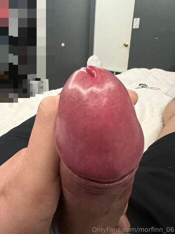 morfinn_06